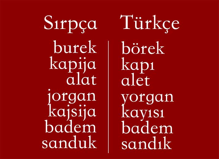 Eski Yugoslavya Ülkelerinde 3 Bin Türkçe Kelime Kullanılıyor