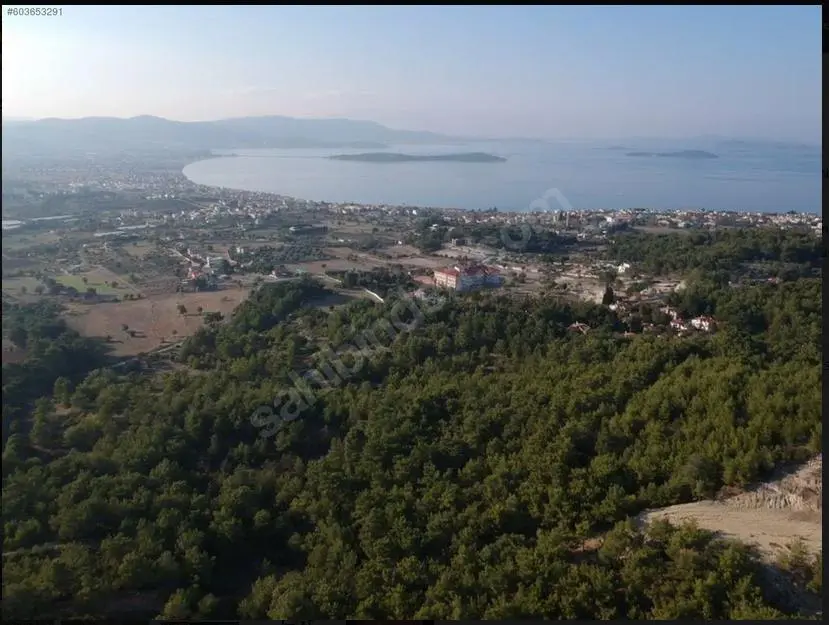 Boşnak K&ouml;y&uuml; Zeytinalan&rsquo;ı Tanıyalım