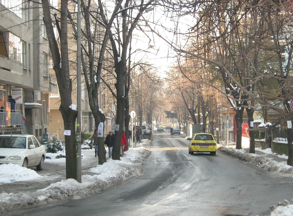 Bulgaristan’ın, en yoğun Türk nüfusa sahip ilk 10 ilçesi