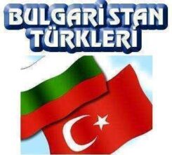Bulgaristan’daki 265 İlçe Belediyesi İçinde Türklerin Nüfus Oranı