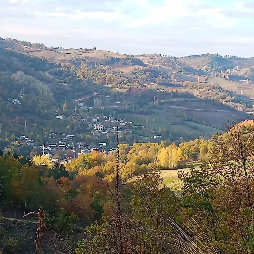 İneg&ouml;l L&uuml;tfiye K&ouml;y&uuml; (Pelitli)&nbsp;Boşnakları’nı Tanıyalım