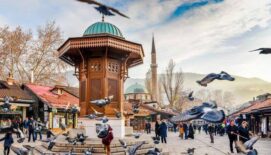 İLK DEFA &Ouml;ĞRENECEĞİNİZ BOŞNAKOĞLU S&Uuml;LALELERİ VE YAŞADIKLARI İLLER