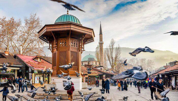İLK DEFA &Ouml;ĞRENECEĞİNİZ BOŞNAKOĞLU S&Uuml;LALELERİ VE YAŞADIKLARI İLLER